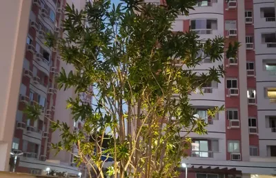 Apartamento 2 dormitórios, 1 garagem, barreiros, melhor preço!
