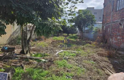 Terreno à venda, 375 m² por r$ 450.000,00 - brandalize - itapoá/sc