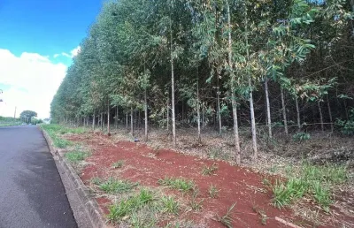 Terreno à venda na Rua Pioneiro José Tel, 1875, Jardim Guaporé, Maringá