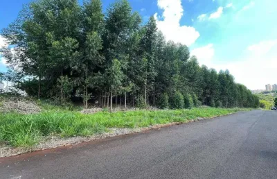 Terreno à venda na Rua Pioneiro José Tel, 1875, Jardim Guaporé, Maringá