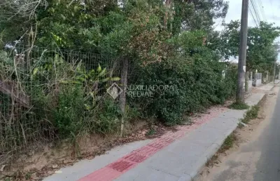 Terreno comercial para alugar na geral do rosa - ibiraquera, 002, praia do rosa, imbituba, 4900 m2 por r$ 12.000
