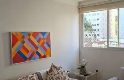 Apartamento com 2 quartos para alugar na Rua Santa Elza, Vila Adyana, São José dos Campos