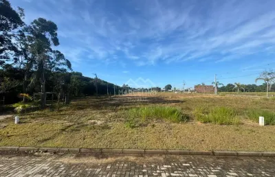 Terreno em loteamento quinta das palmeiras, garopaba/sc