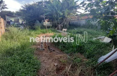 Ponto comercial à venda na Rua Deputado Gregoriano Canedo, Trevo, Belo Horizonte