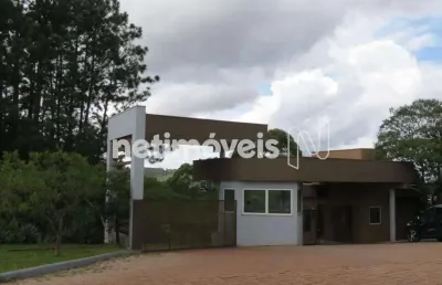 Terreno em condomínio fechado à venda na Lote Um, Vila Alpina, Nova Lima