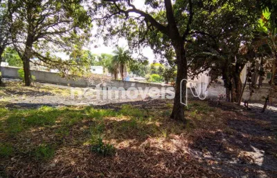 Terreno comercial à venda na Rua Dirceu Duarte Braga, Trevo, Belo Horizonte