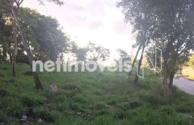 Terreno comercial à venda na Rua Dona Amélia Torres, Jardim Nazareno, Betim