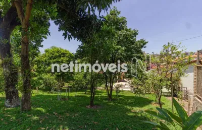 Terreno comercial à venda na Rua José Flávio Rodrigues, Tirol, Belo Horizonte