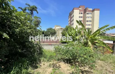 Terreno comercial à venda na Rua Antônio Ferreira de Barros, Céu Azul, Belo Horizonte