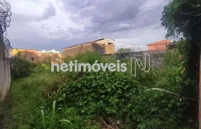 Venda lote-área-terreno santa terezinha belo horizonte