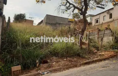 Terreno comercial à venda na Rua Araras, Maria Adélia, Santa Luzia