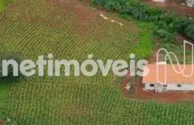 Chácara / sítio com 4 quartos à venda na Alameda Ipe Amarelo, Planalto, Mateus Leme