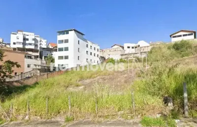 Terreno comercial à venda na Rua das Paineiras, Novo Horizonte, Sabará
