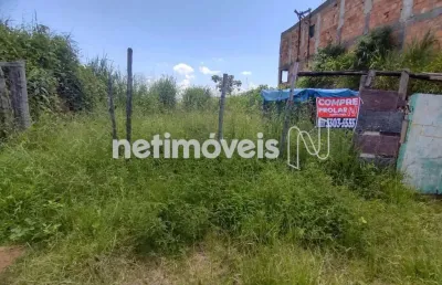 Venda lote-área-terreno menezes (justinópolis) ribeirão das neves