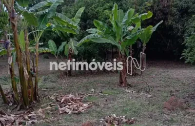 Terreno comercial à venda na Rua Etervino Tibúrcio Henriques, Garças, Belo Horizonte