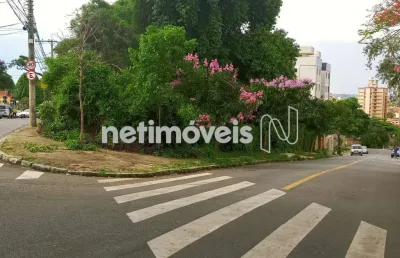 Venda lote-área-terreno santa branca belo horizonte