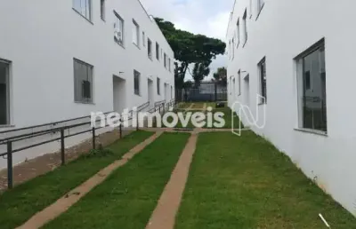 Casa com 3 quartos à venda na Rua Pedro Neves de Carvalho, Trevo, Belo Horizonte