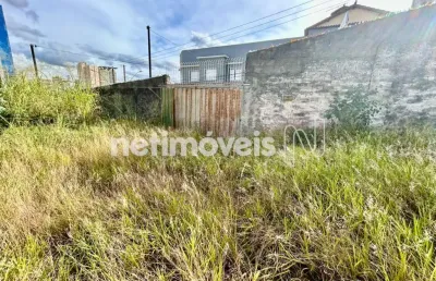 Venda lote-área-terreno colégio batista belo horizonte