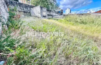 Venda lote-área-terreno colégio batista belo horizonte