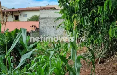 Terreno à venda na Rua Brasileira Arantes, Santa Branca, Belo Horizonte