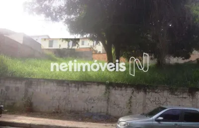 Terreno à venda na Rua dos Bacuraus, Vila Cloris, Belo Horizonte