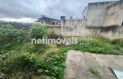 Terreno à venda na Rua Zarife De Oliveira Dias, Novo Progresso, Contagem