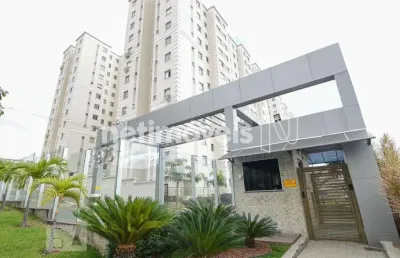 Apartamento com 2 quartos à venda na Avenida Miguel Perrela, Castelo, Belo Horizonte