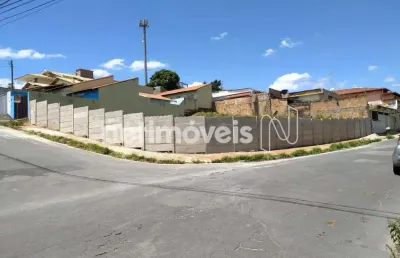 Terreno comercial à venda na Rua Maracá, Novo Horizonte, Betim