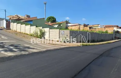 Terreno comercial à venda na Rua Maracá, Novo Horizonte, Betim