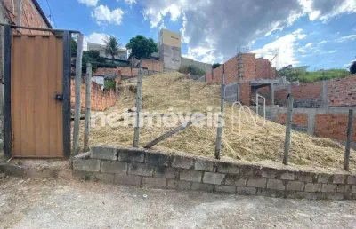 Terreno comercial para alugar na Rua Madre de Deus, Ouro Minas, Belo Horizonte