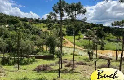 Chácara em campo alegre a venda com 100.000 m² com 2 nascentes, lago, araucárias, plantações, área de heliporto, campo de futebol/vôlei, etc..