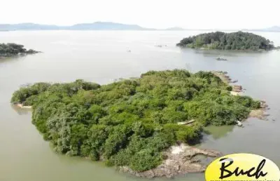 Ilha à venda em são josé (florianópolis) - buch imóveis