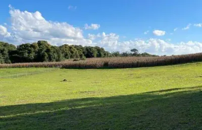 Terreno à venda no lageado, campo alegre  por r$ 980.000