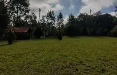 Chácara / sítio à venda no Faxinal, Campo Alegre 