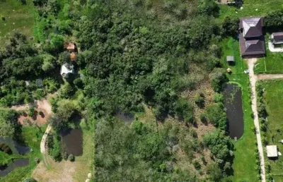 Chácara / sítio com 2 quartos à venda na Estrada Otaviano José Pinto, --, Lami, Porto Alegre