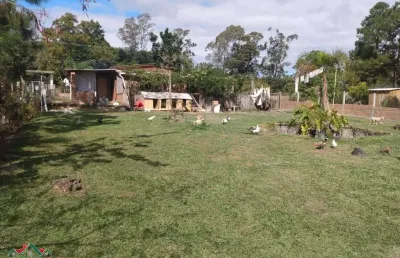 Sítio 2 dormitórios à venda parque florestal itapuã viamão/rs