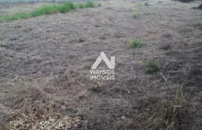 Terreno à venda na Rua Antônio Marques Cebola, Jardim Itaú, Ribeirão Preto