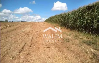 Fazenda canteiros: um paraíso agrícola no sul de minas gerais