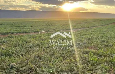 ?? fazenda excepcional à venda – região de itajubá, mg | 2.580 hectares