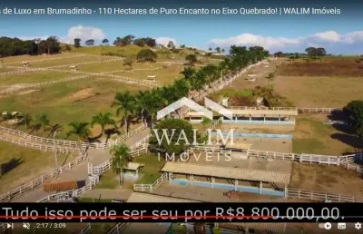 ?? oportunidade única: fazenda haras de 110 hectares em brumadinho, mg! ??