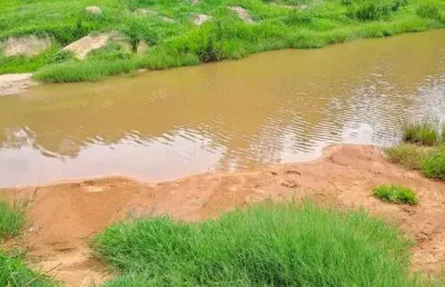?? terreno agrícola à beira da rodovia em esmeraldas, mg – potencial para hortaliças e cultivos ??