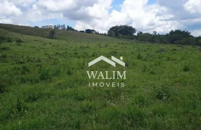 Terreno de 12 ha em oliveira/mg – infraestrutura completa, nascente e pasto formado!