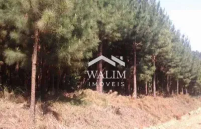 Fazenda com 6 dormitórios à venda, 177205000 m² por r$ 4,00 - zona rural - bauru/sp