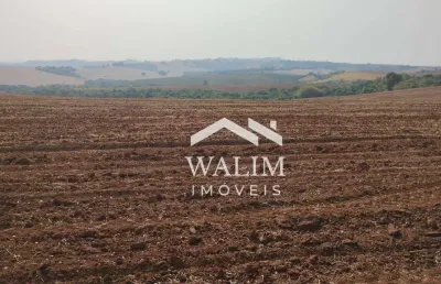 **fazenda de 350 hectares para cultivo de café em cristais/mg**