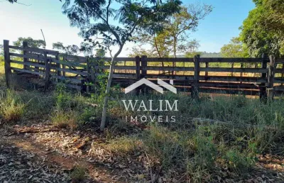 Fazenda de 78 hectares à venda próximo a são josé de almeida – terra fértil, água abundante e lucro imediato!