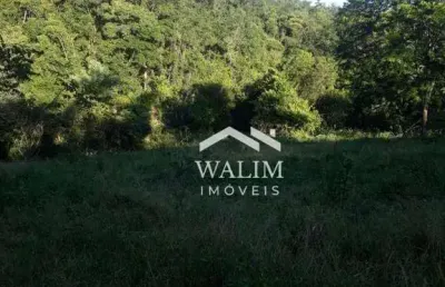 Oportunidade imperdível: fazenda produtiva de 48 hectares em esmeraldas, mg