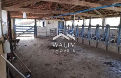 ?? fazenda leiteira à venda em são tiago/mg – 73 hectares com água abundante e estrutura completa!  ?? valor: r$ 2.600.000,00