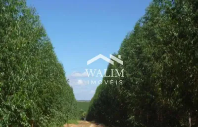 Fazenda premium em joão pinheiro/mg – oportunidade para agroindústria e investimento escalável