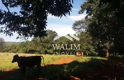 Fazenda à venda com 153,40 hectares, oportunidade imperdível — propriedade rural entre curvelo e felixlândia/mg