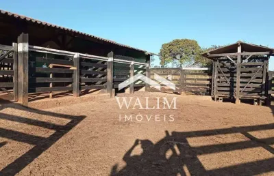 Fazenda à venda 300 hectares, em curvelo, mg – excelente estrutura e localização!